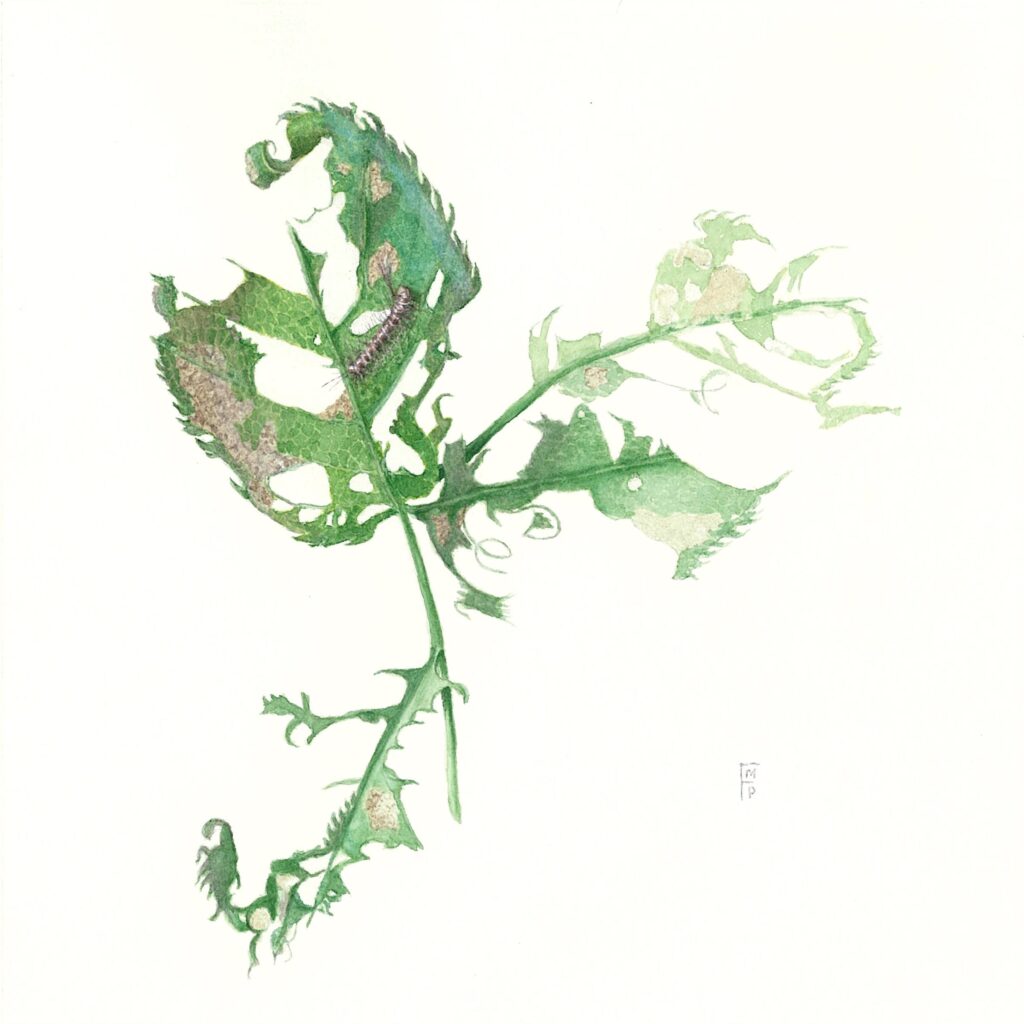 Rose leaves and caterpillar painted in watercolor